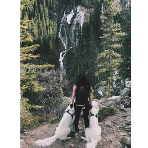 Meet your Posher, Acacia